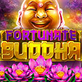 Fortunate Buddha Winner